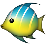 Emoji Natur-36